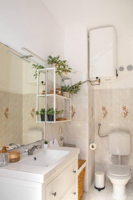 ספליט Brand New City Center Apartment Nostalgija מראה חיצוני תמונה